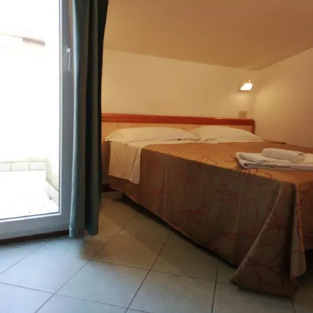 Labrador 3*